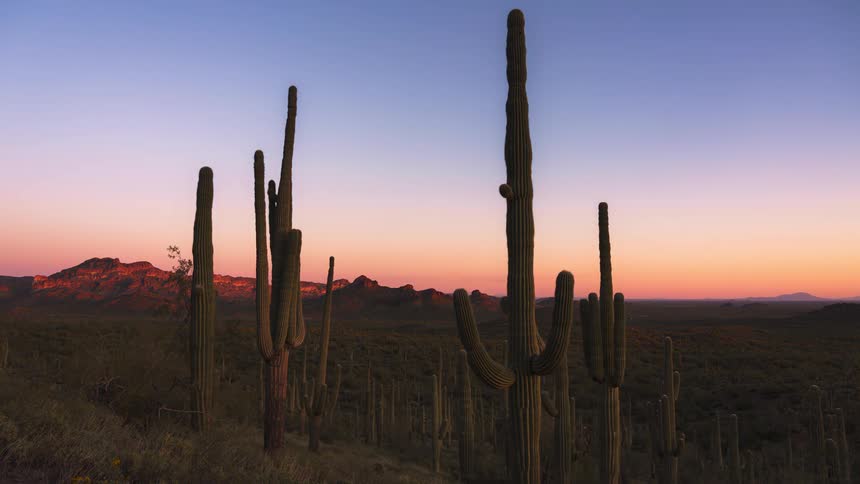 Landscape with cacti mountain ranges on the horizon and the day getting dark in timelapse