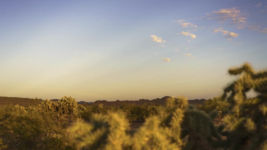 A desert landscape with scattered clouds and cacti