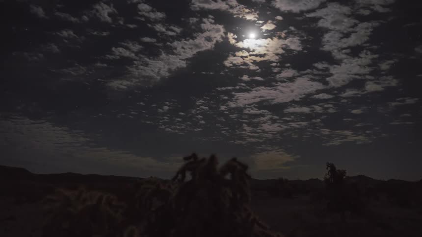 Night scene in a desert landscape illuminated by the moon and stars behind scattered clouds