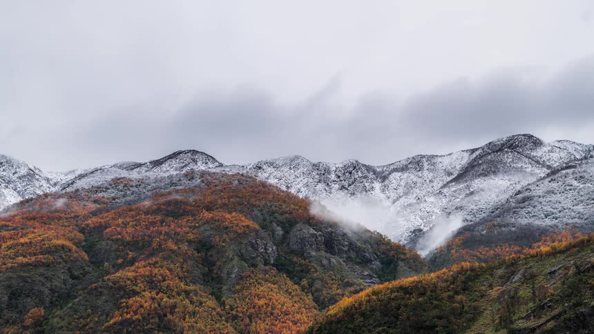 Mountain range with colorful autmn forests covered in snow on a cloudy day