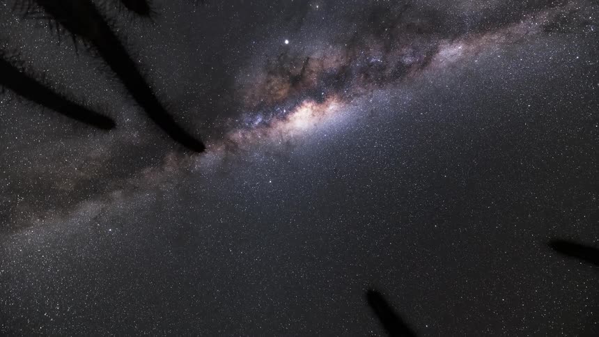 Desert cacti stand silhouetted against milkyway galaxy in starry sky at night