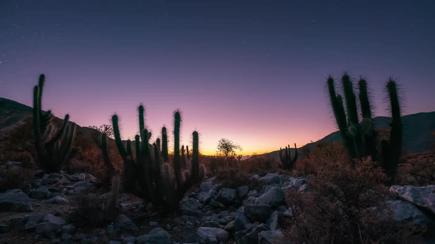 A desert landscape with cacti silhouettes and a colorful sunset at nightfall