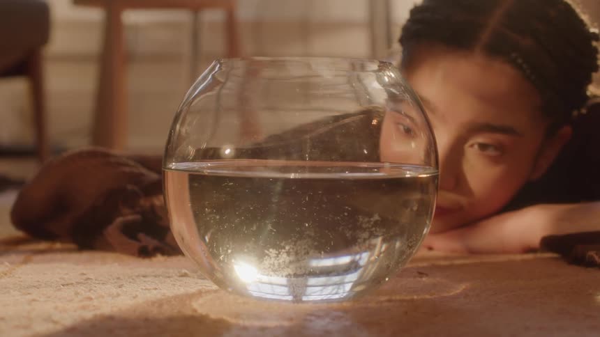 A young woman lays on the floor watching a goldfish swim around a bowl