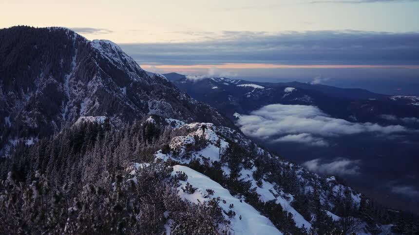 Vegetation on snowy mountain overlooking foggy valley sways in the wind during winter