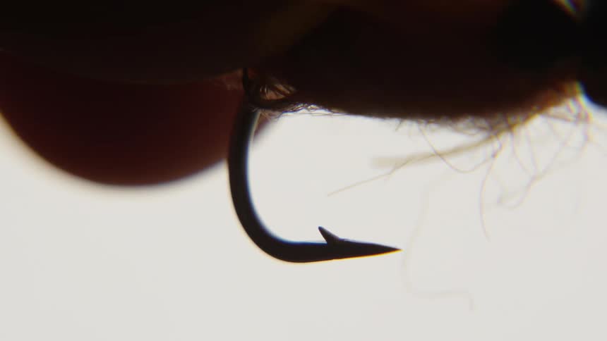 Microscopic view of a persons finger under a fishing hook