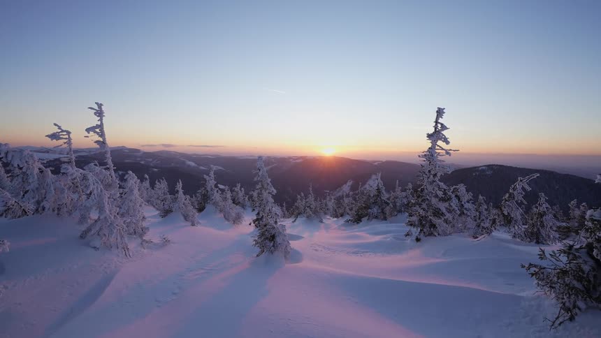 Snowcovered trees and mountains glow under the orange sky