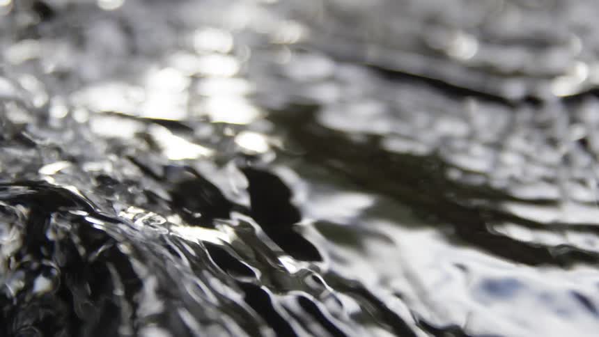 Closeup cream on a river in flowing water in slow motion