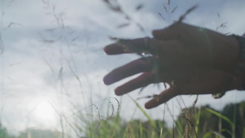 A persons papaya with several bracelets is touching branches of tall grass