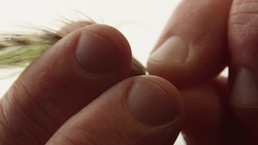 Closeup of a persons finger holding and brushing a feather