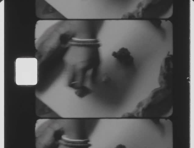 Footage of a person adjusting fossil in an exhibit