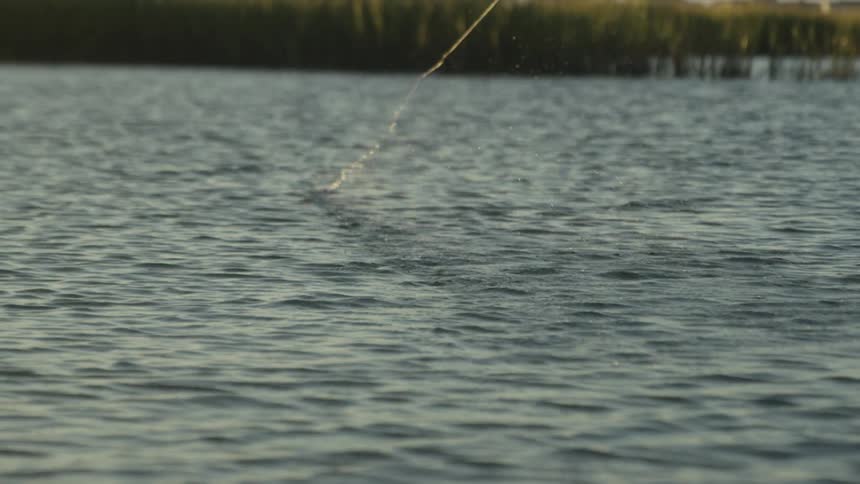 Fishing line skimming across a river