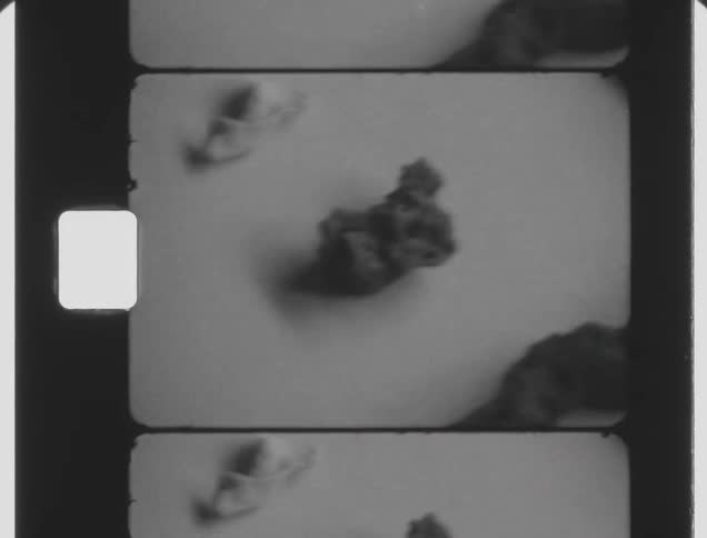 Curated organic matter artifacts