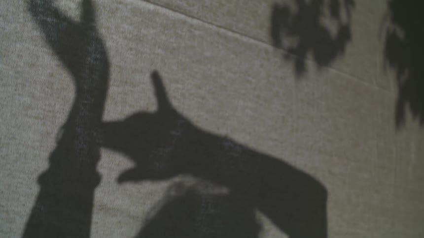 Shadows of a person dancing create a contrast on curtain
