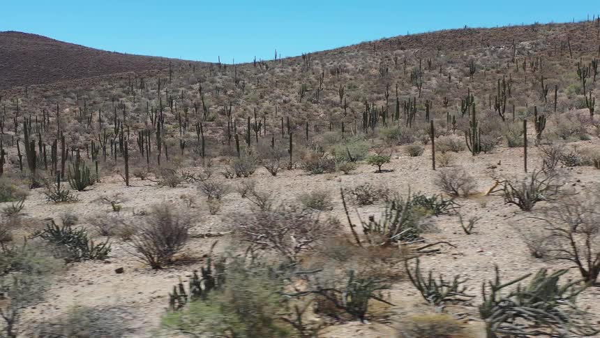 An arid desert with hills on a sunny day