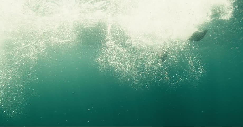 Close up of a person with an aquatic fin swimming in the middle of a blue sea