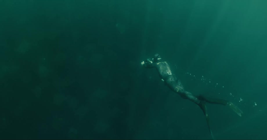 A person diving underwater is stamping their feet which have webbed feet