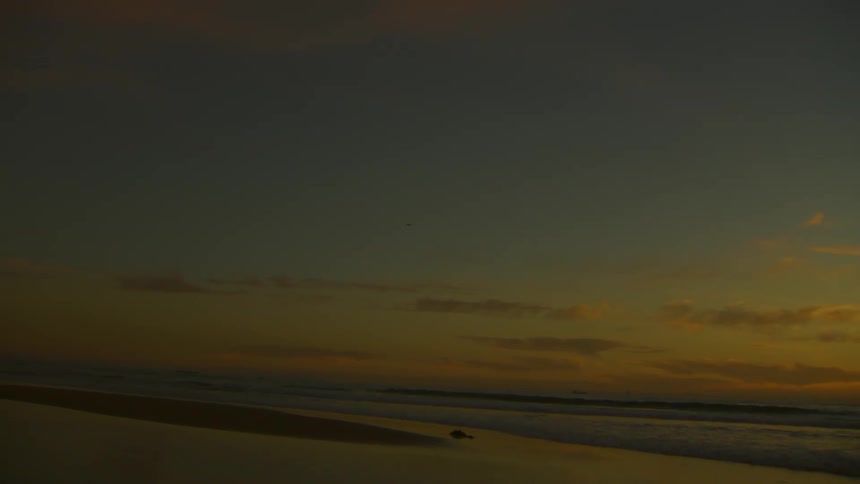 A plane flying in the distance at sunset