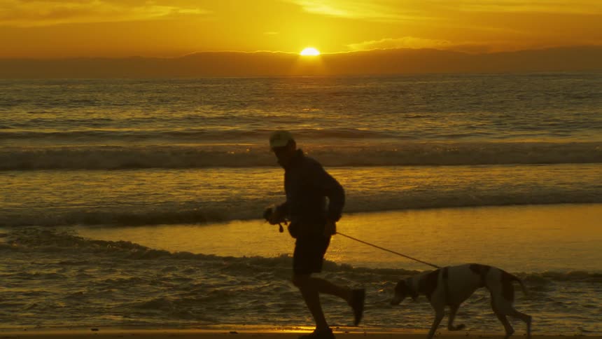 A man running with his dog on a beach at sundown