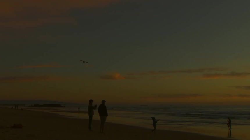 A clip of a bird flying across people on the beach
