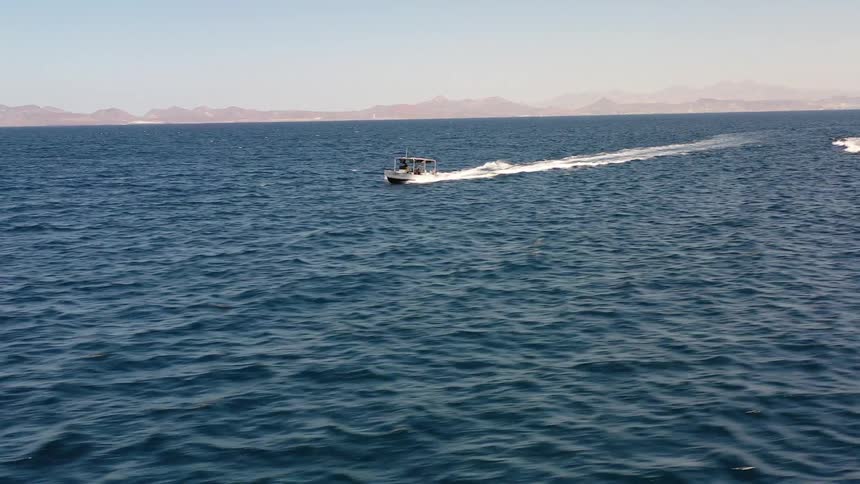 Two boats sailing on the surface of a blue sea
