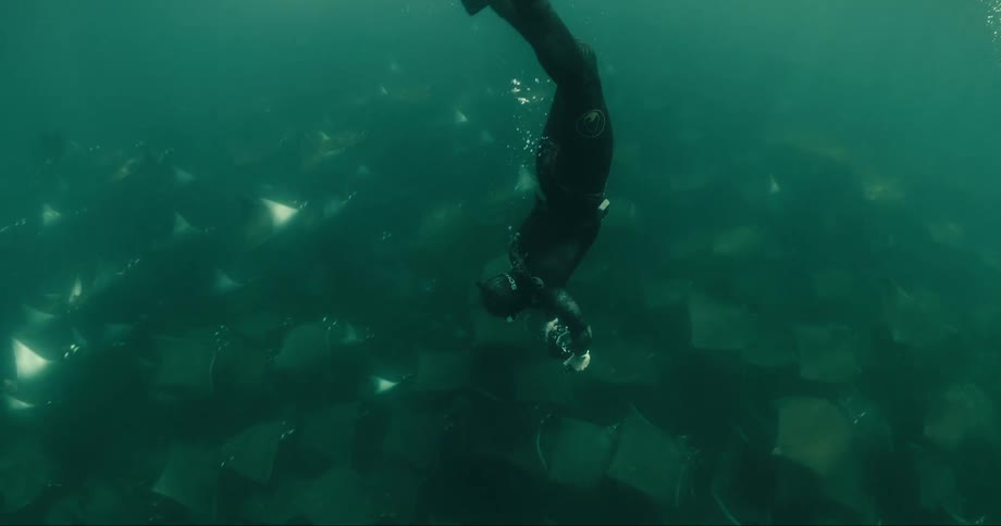 A person is with a small hand vehicle under the water next to many stingrays