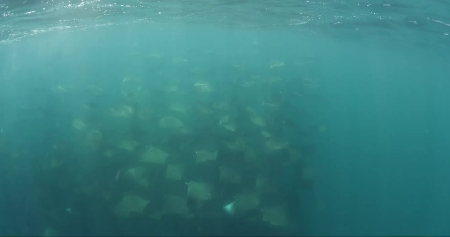 Clusters of rays together in a sea with solar reflections