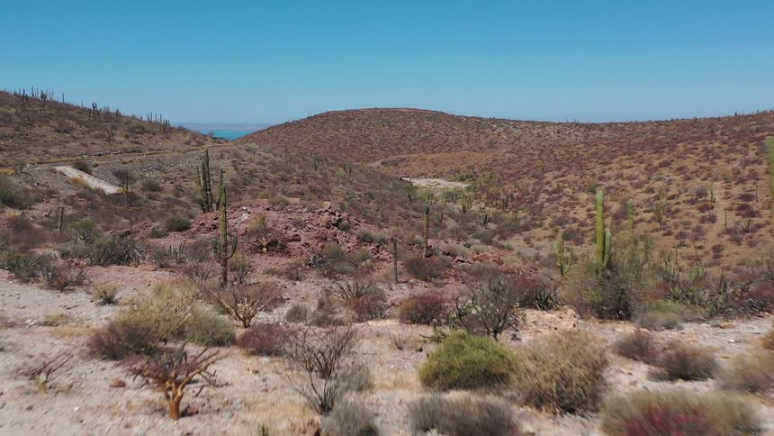 Highway winds through arid scrub land