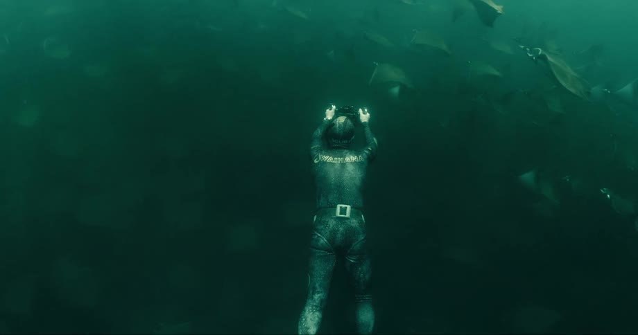 Diver at the bottom of the ocean and surrounded by stingrays