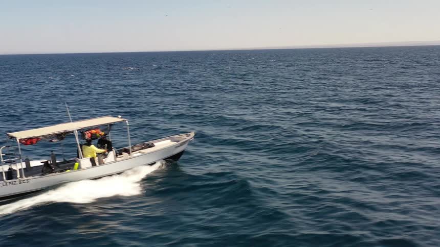 Small motorboat in motion across the sea