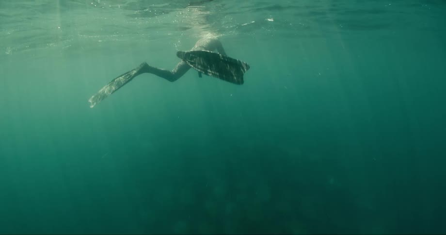 Diver filming a group of rays in the ocean