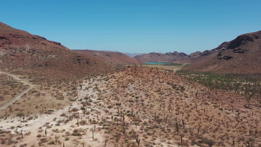 A desert region with low vegetation and some hills and mountains on the horizon