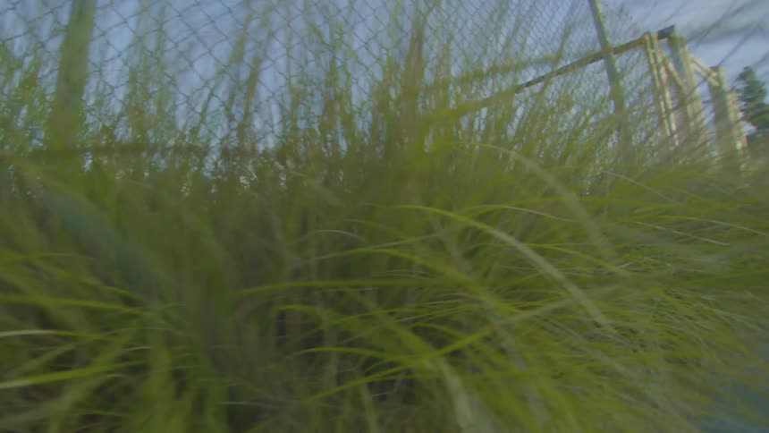 View of a flowerbed with the map next to a fence