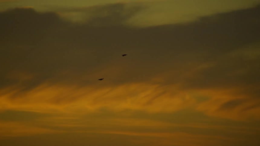 A clip of two birds flying in the sky at dawn