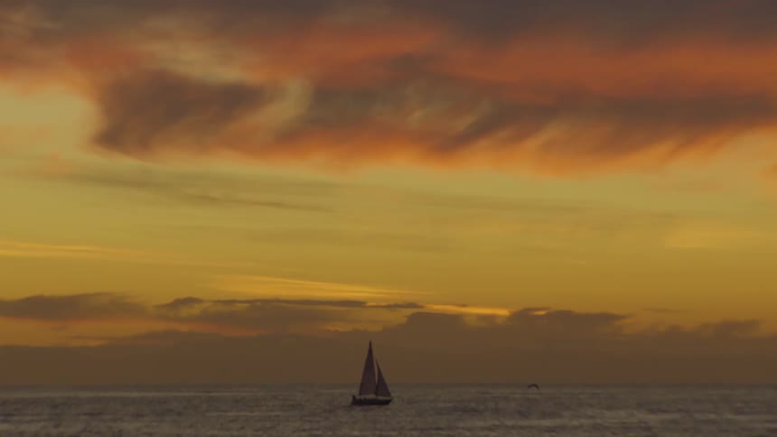 Ocean landscape with a boat moving in a day with reddish early morning sky