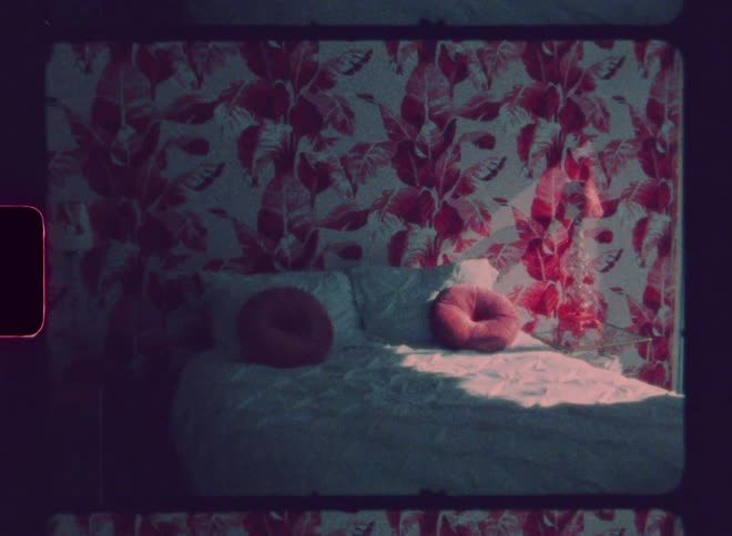 Sunlight shines on the bed