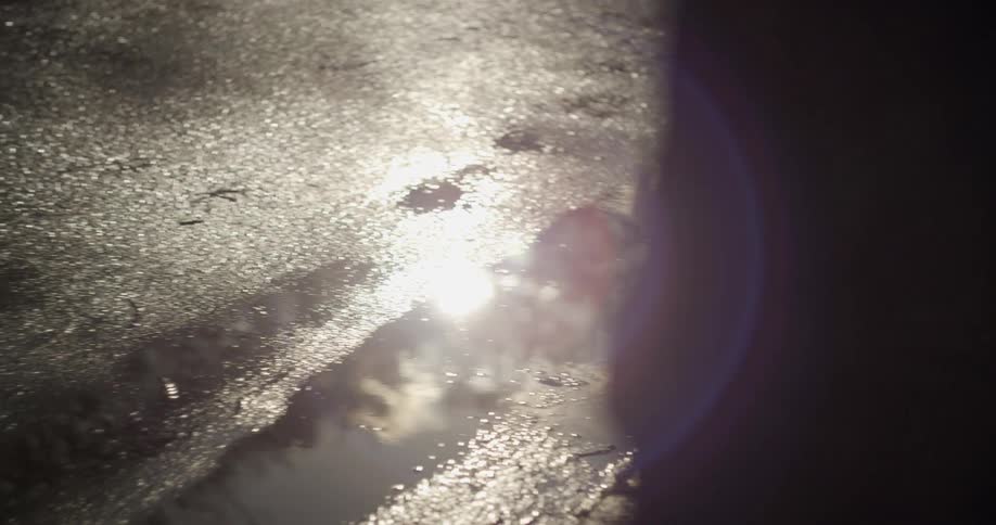 A puddle in a street reflecting the sun and trees