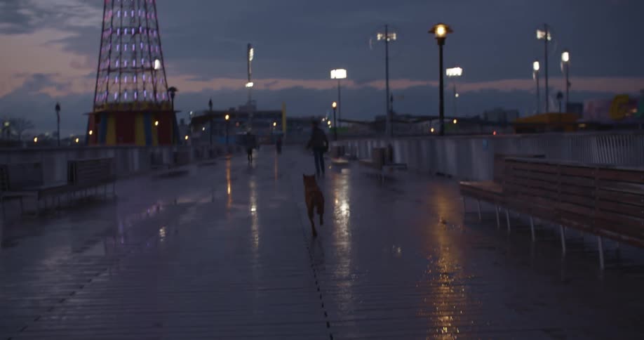 A dog runs towards a person as they play on a boardwalk