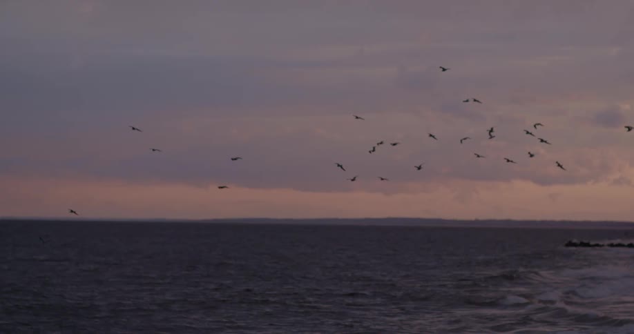 A flock of birds fly over the ocean at sunset