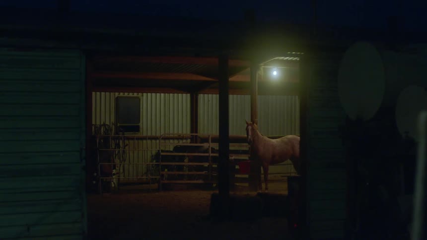 A horse walks around inside of a barn