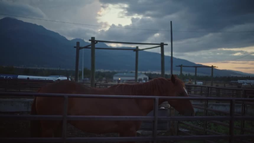 Horse standing outdoors on a fenced area at a farm next to a hill during day time