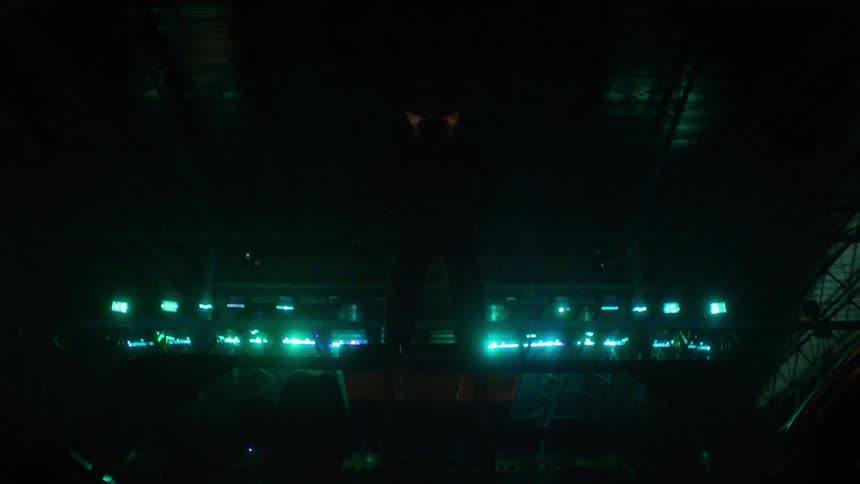 A silhouette of a person standing still while club lights move around the room