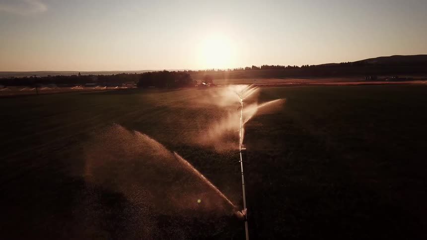 Aerial panorama of an active irrigation system amidst agriculture on a morning sky with the sun on the horizon