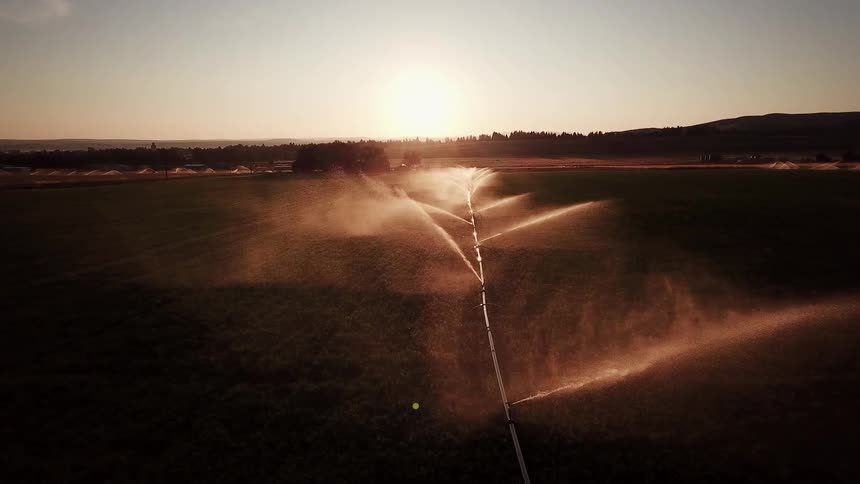 Aerial panorama of an active agricultural irrigation system under a morning sky