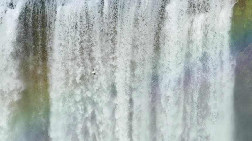A bird flies in front of a massive waterfall