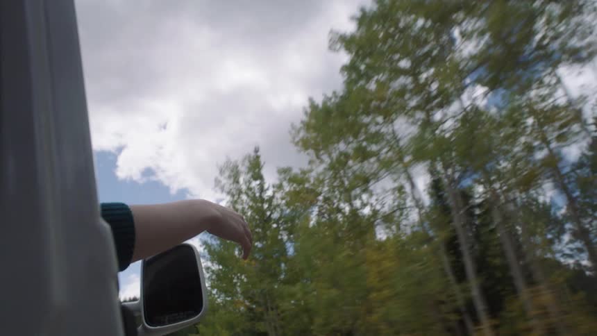 Womans arm outside of the car while its in motion through a natural area