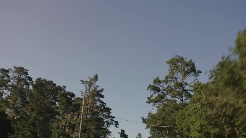 An electrical cable stretches across a forest road