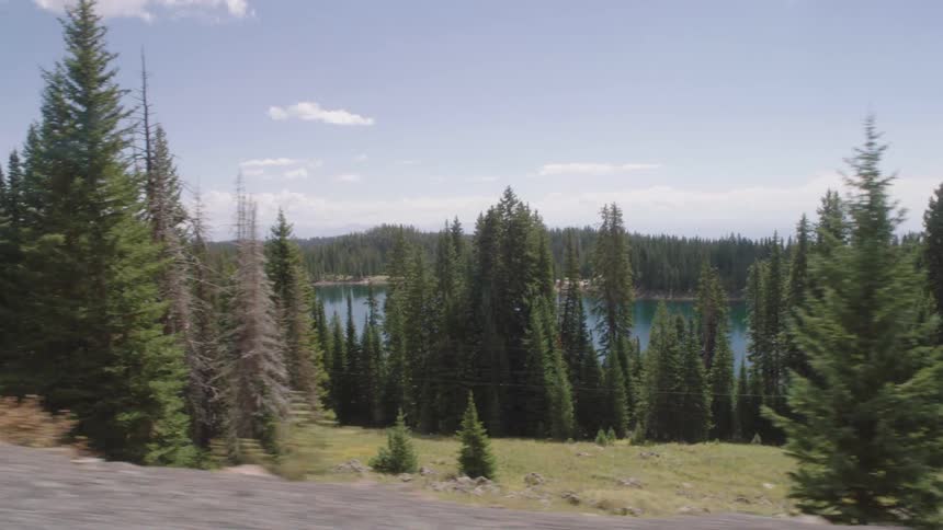 Trees and a river seen on the side of a road as a car is driving by