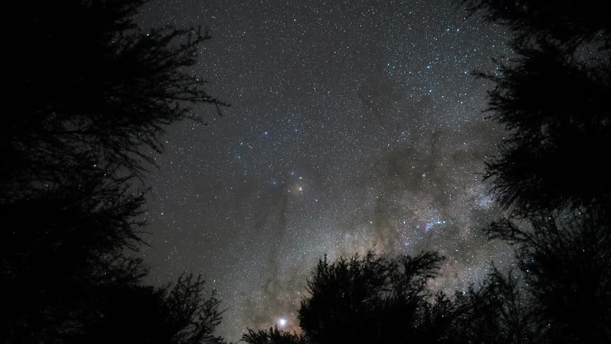 A view from the middle of a forest of the sky that is starlit and the stars are moving