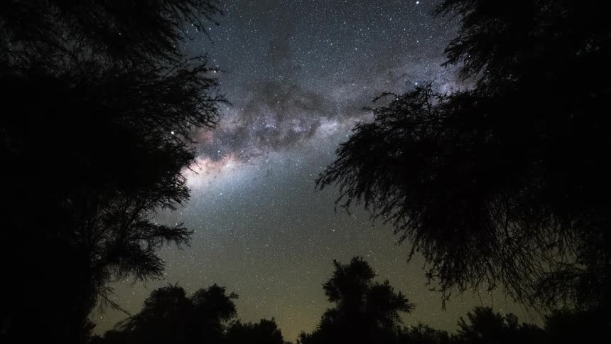 Starry sky of a park at night