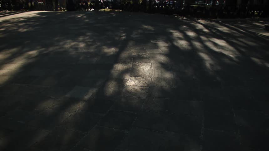 View of the paved ground with sunlight reflection and shadows of trees